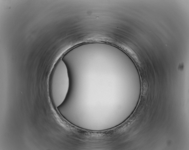 X0000090891039200707271034