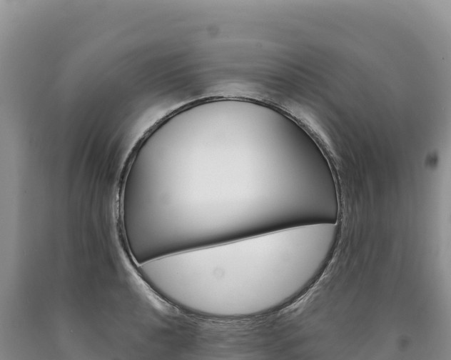 X0000090891040200707271034