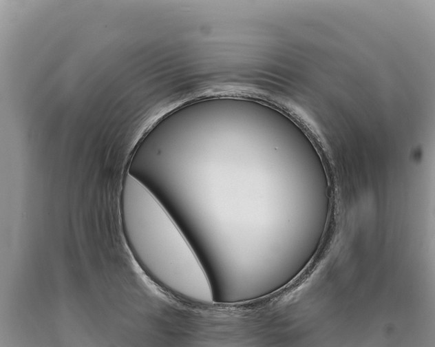 X0000090891041200707271034