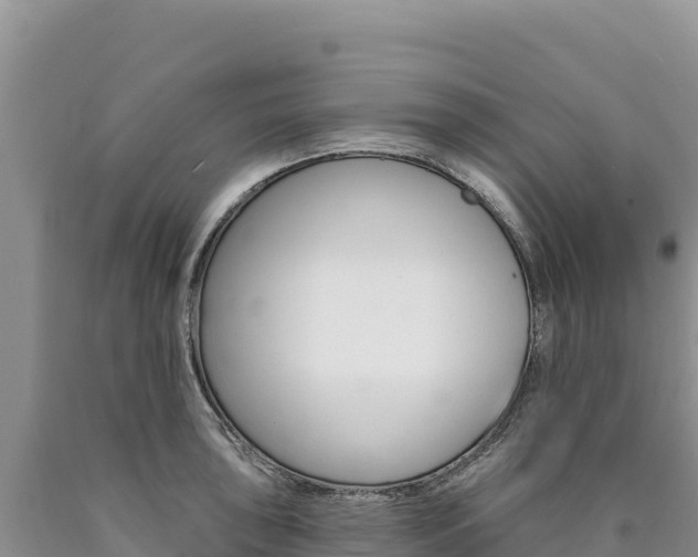 X0000090891043200707271034