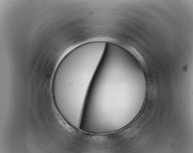 X0000090891044200707271034