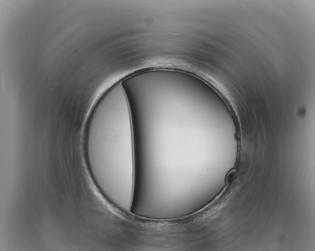 X0000090891045200707271034