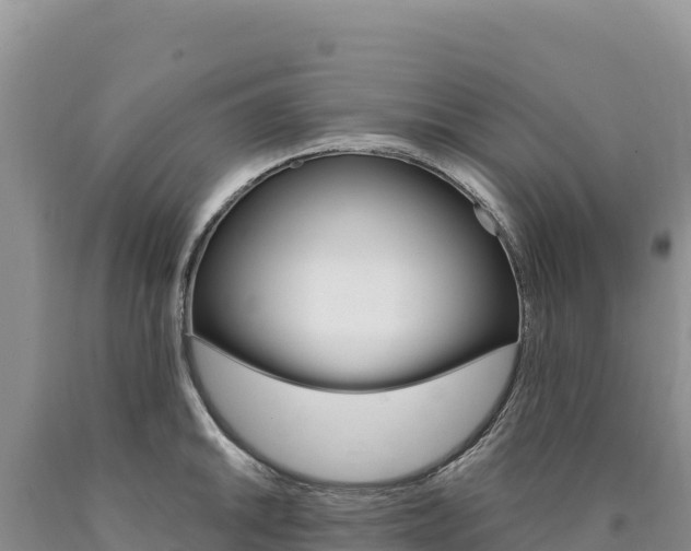 X0000090891046200707271034