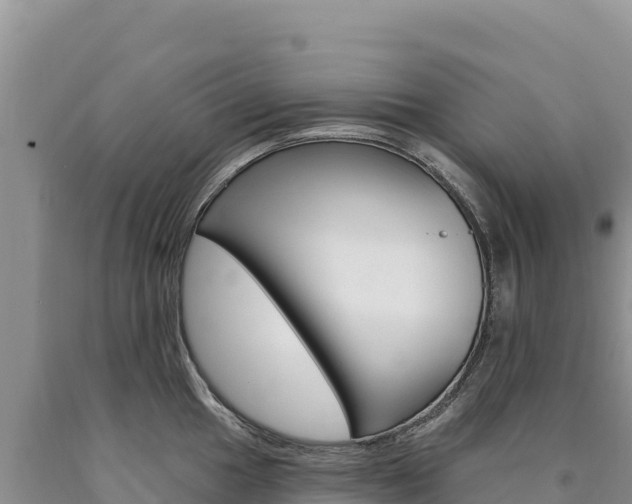 X0000090891049200707271034