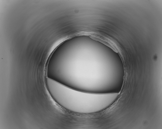 X0000090891050200707271034