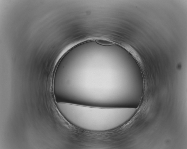 X0000090891052200707271034