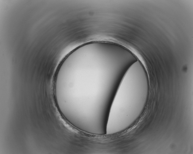 X0000090891053200707271034