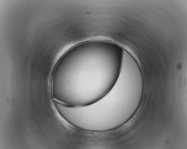 X0000090891054200707271034