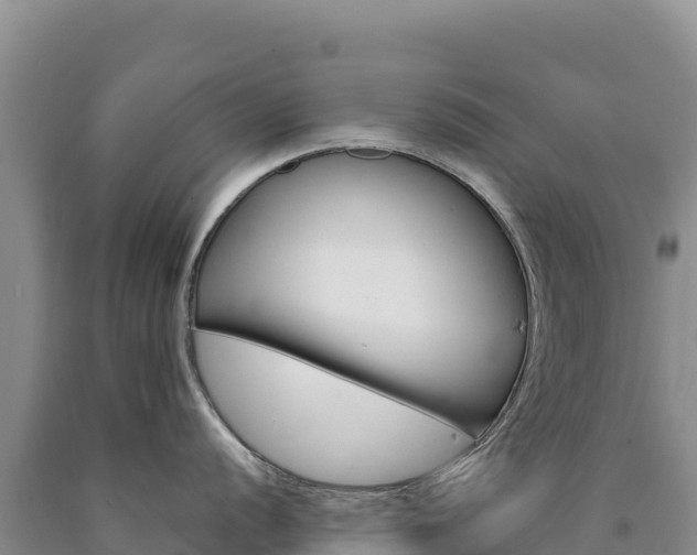 X0000090891056200707271034