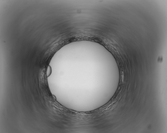 X0000090891059200707271033