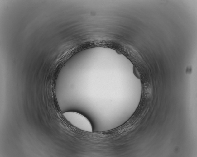X0000090891060200707271033