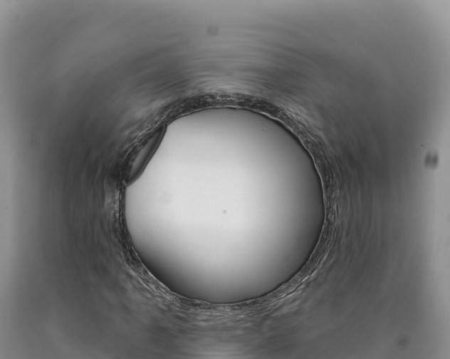 X0000090891061200707271033