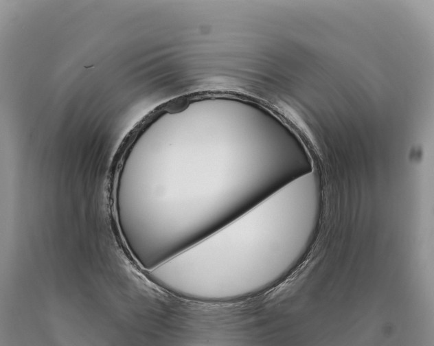 X0000090891068200707271033