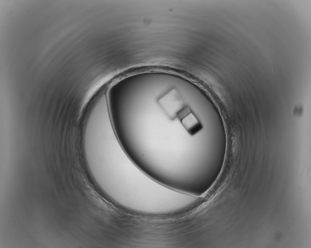 X0000090891069200707271033