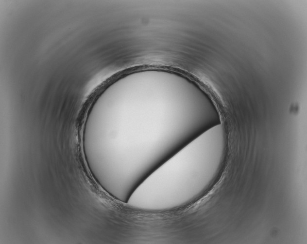 X0000090891070200707271033