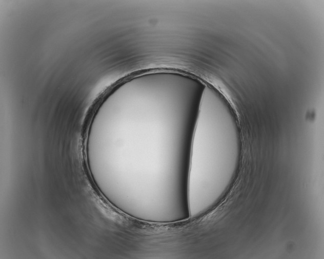 X0000090891072200707271033