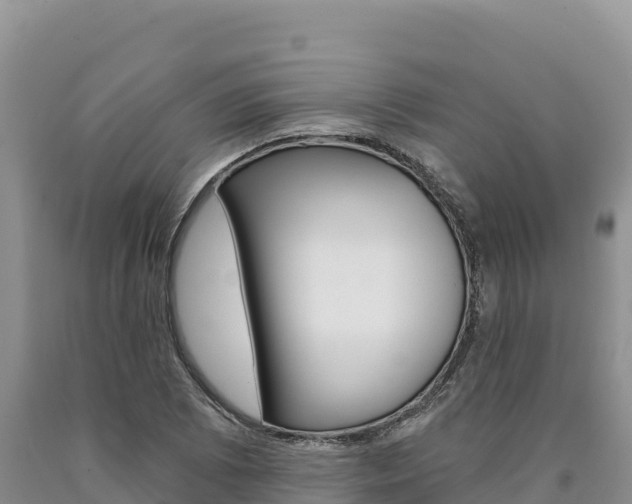 X0000090891073200707271033