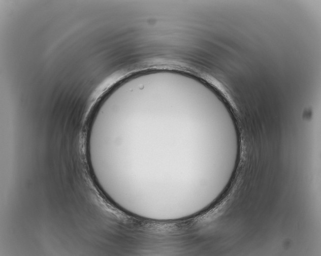 X0000090891074200707271033