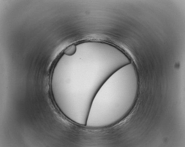 X0000090891075200707271033