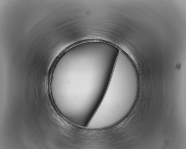 X0000090891076200707271033
