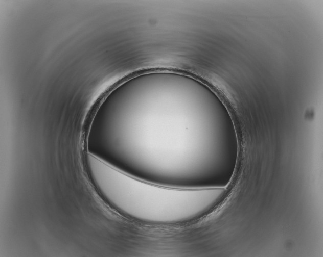 X0000090891077200707271033