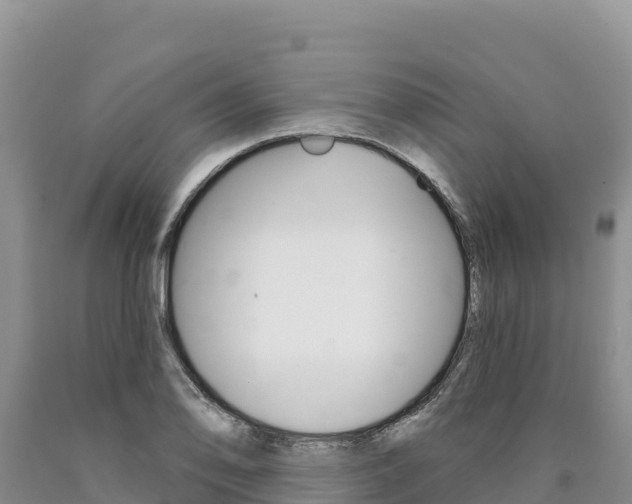 X0000090891078200707271033