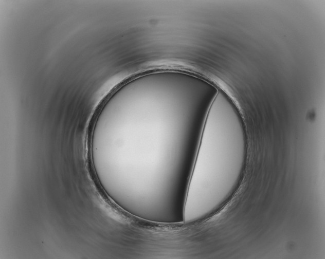 X0000090891082200707271033