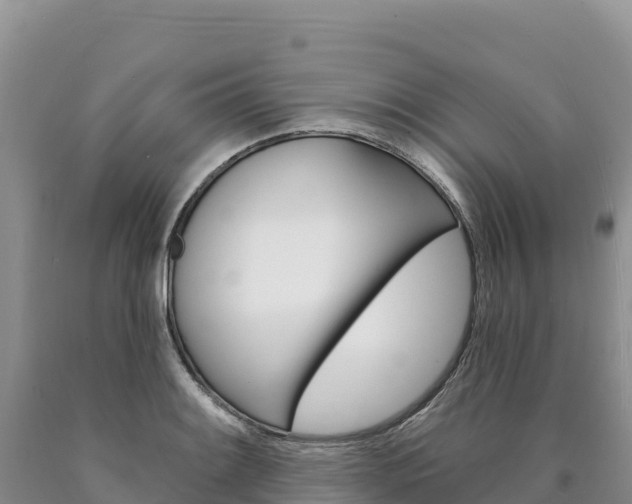 X0000090891084200707271033