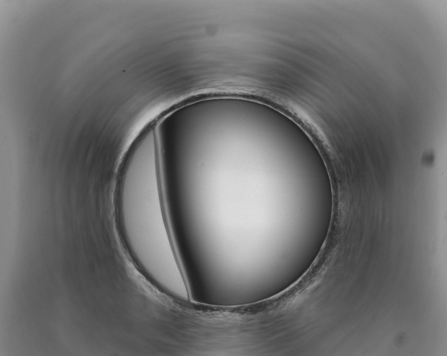 X0000090891085200707271033