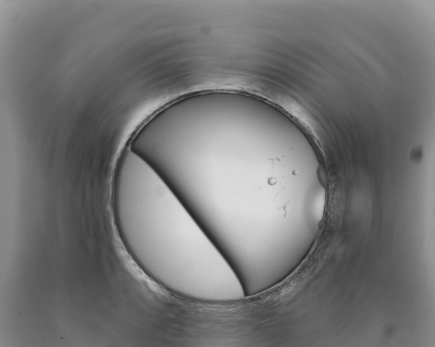 X0000090891088200707271033