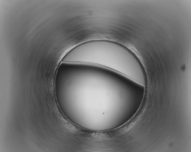 X0000090891089200707271033
