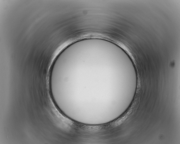 X0000090891090200707271033