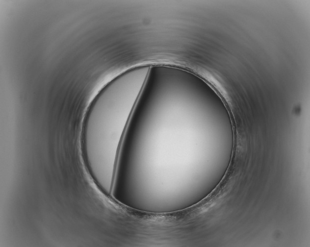 X0000090891093200707271033