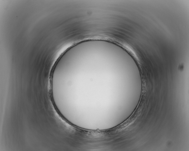 X0000090891095200707271033