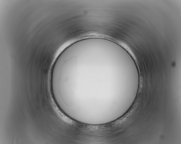 X0000090891098200707271033