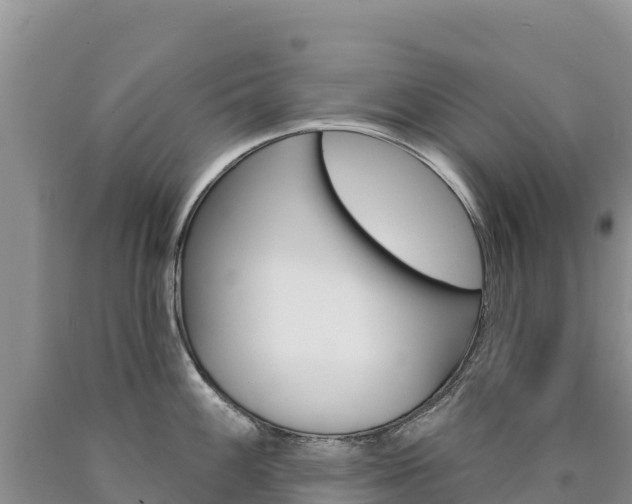 X0000090891100200707271033