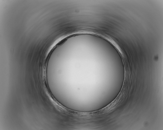 X0000090891101200707271033