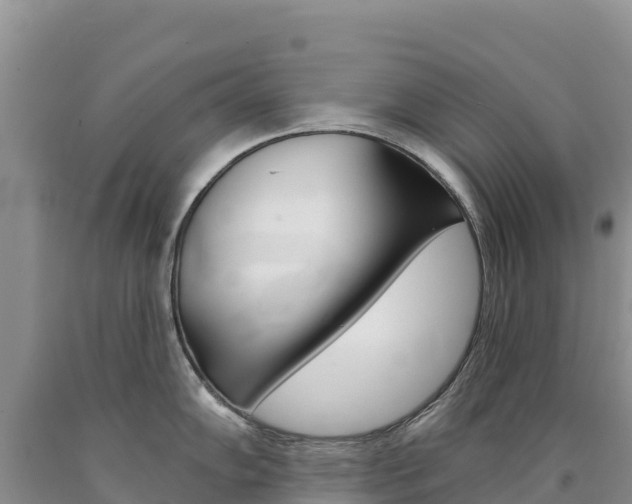 X0000090891102200707271033