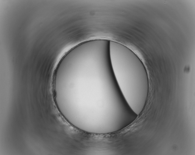 X0000090891104200707271033
