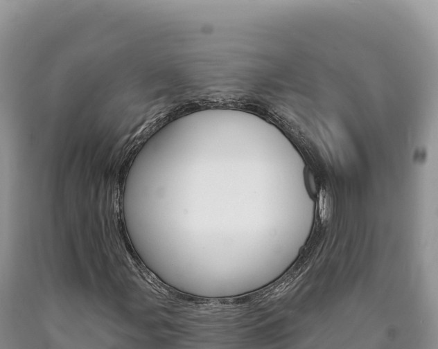 X0000090891107200707271032