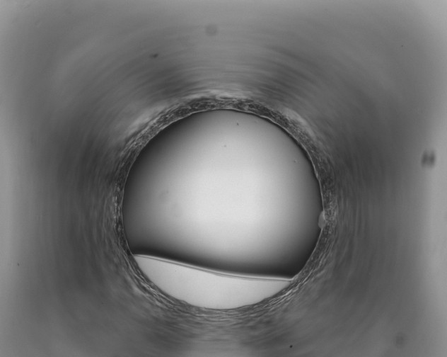 X0000090891110200707271032