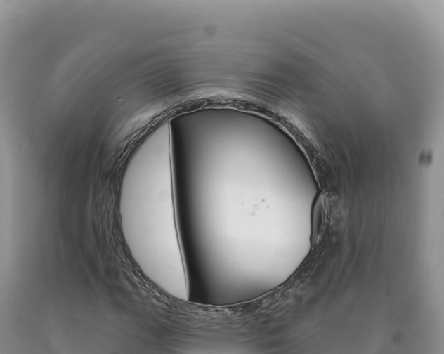 X0000090891111200707271032