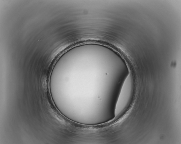 X0000090891113200707271032