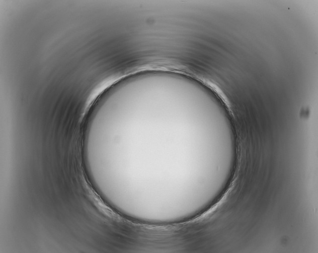 X0000090891114200707271032