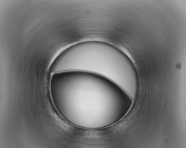 X0000090891116200707271032