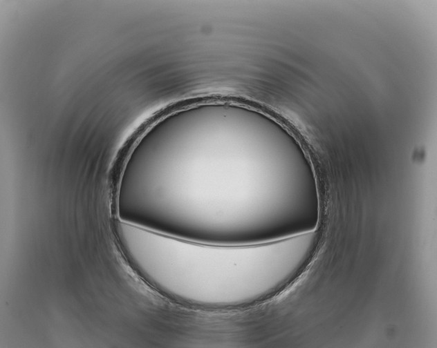 X0000090891118200707271032