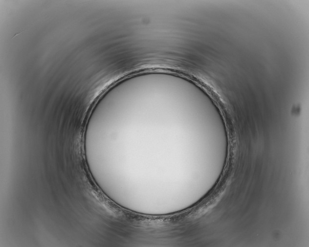 X0000090891121200707271032