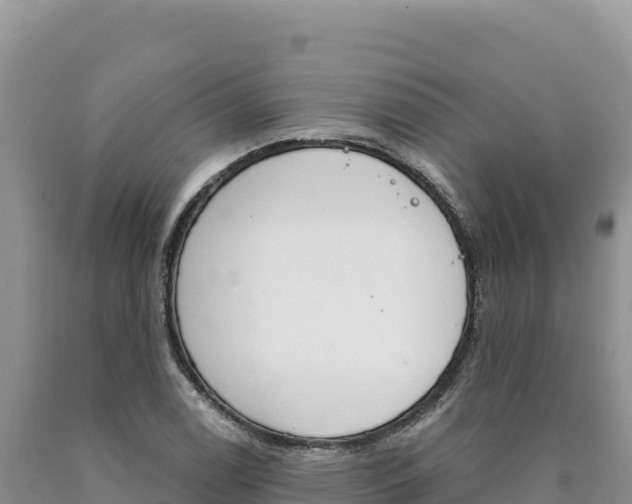 X0000090891122200707271032