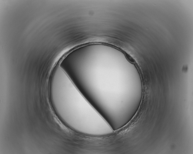 X0000090891127200707271032