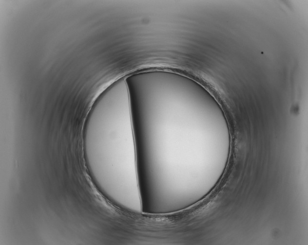 X0000090891129200707271033